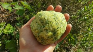 Frühlingsgrüne Käsecräcker Frühlingsgrüne Käsecräcker